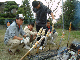 image0005